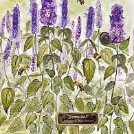 Leesboek "Hoor jij ze ook" (meer dan 2 dozen)