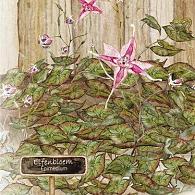 Leesboek "Hoor jij ze ook" (meer dan 2 dozen)