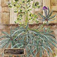 Leesboek "Hoor jij ze ook" (meer dan 2 dozen)